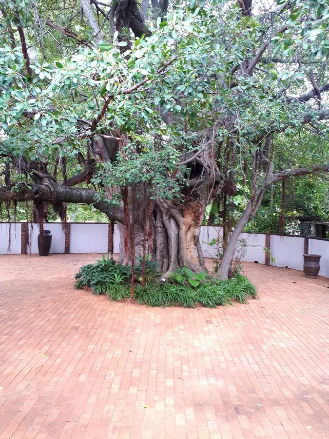 מודימול Bush Lovers Lodge מראה חיצוני תמונה